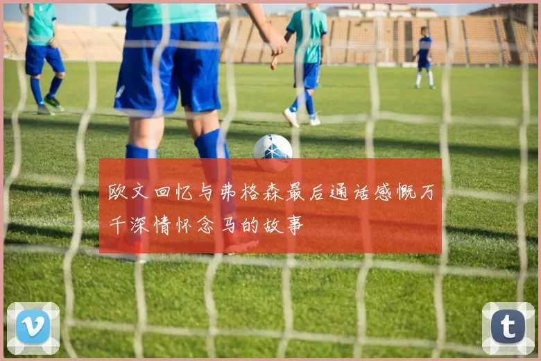 欧文回忆与弗格森最后通话感慨万千深情怀念马的故事